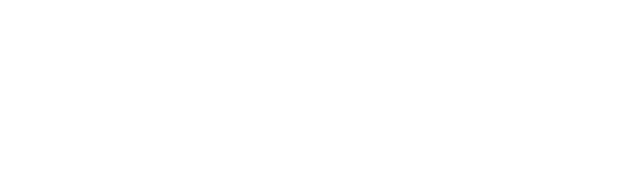 optiqslab